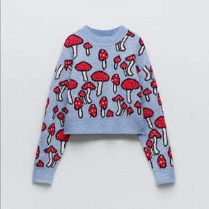 🍄 {Zara} Jacquard Knit Sweater - Small 🍄